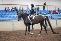 2019 Morgan Horse Show - Aug 31, 2019 - 19388