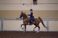 Class 170 - ASB 3-Gaited Show Pleasure, Stake