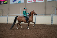 2019 Morgan Horse Show - Aug 30, 2019 - 30638