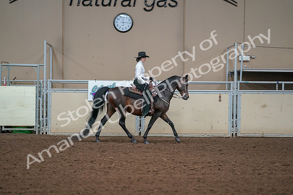 2019 Morgan Horse Show - Aug 30, 2019 - 17008