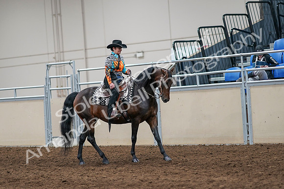 2020 - AB Morgan Horse - Sun, Sept 06 - 07563