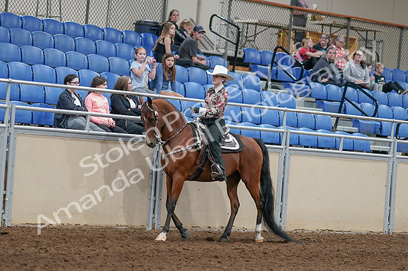 2020 - AB Morgan Horse - Fri, Sept 04 - 08302