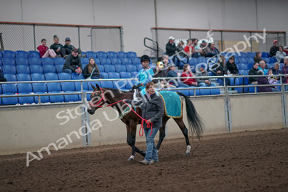 2019 Morgan Horse Show - Aug 31, 2019 - 09946