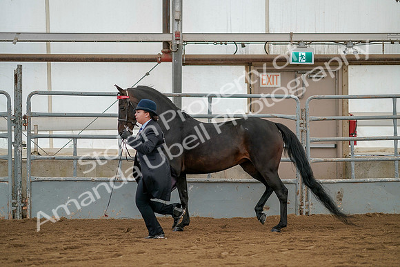 July 19, 2019 - 2080