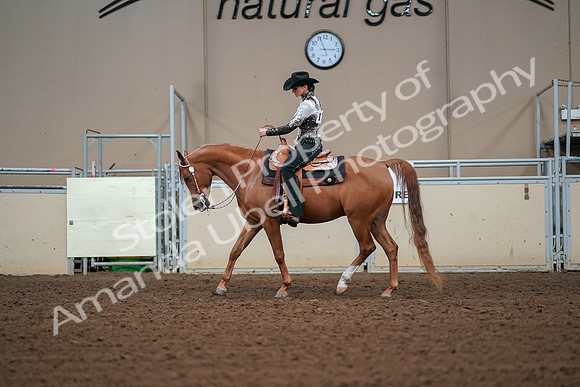 2019 Morgan Horse Show - Aug 30, 2019 - 16797