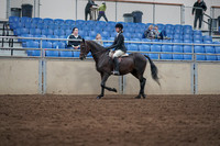 2019 Morgan Horse Show - Sept 01, 2019 - 09007