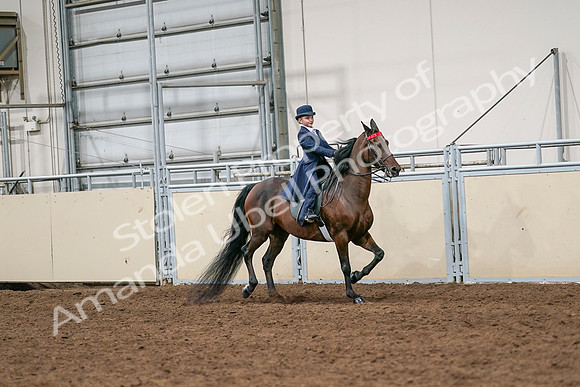 2020 - AB Morgan Horse - Sat, Sept 05 - 04822