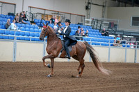 2020 - AB Morgan Horse - Fri, Sept 04 - 06246