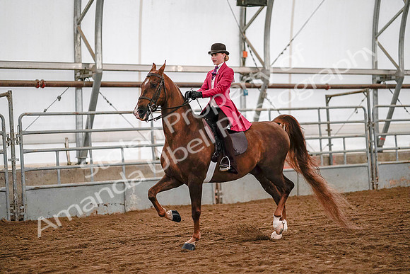 July 19, 2019 - 8929