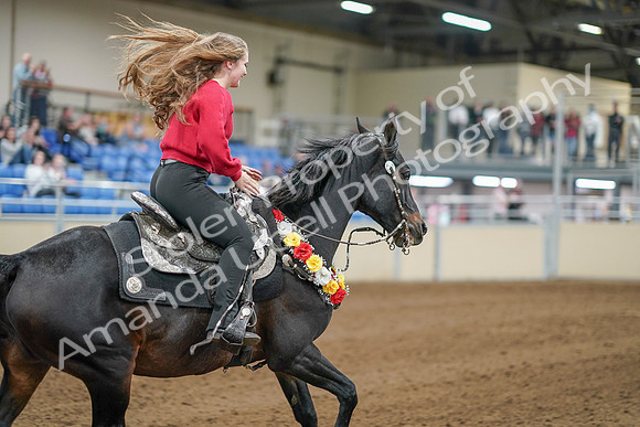2020 - AB Morgan Horse - Sat, Sept 05 - 10582