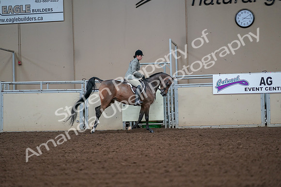 2019 Morgan Horse Show - Aug 30, 2019 - 17613
