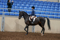 2020 - AB Morgan Horse - Sun, Sept 06 - 07676