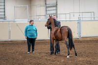 2020 - AB Morgan Horse - Sat, Sept 05 - 00113