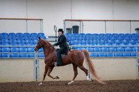2019 Morgan Horse Show - Aug 30, 2019 - 21403