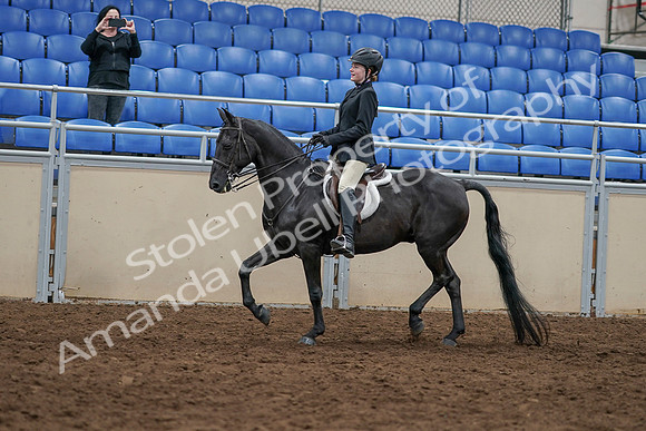 2020 - AB Morgan Horse - Sun, Sept 06 - 07784