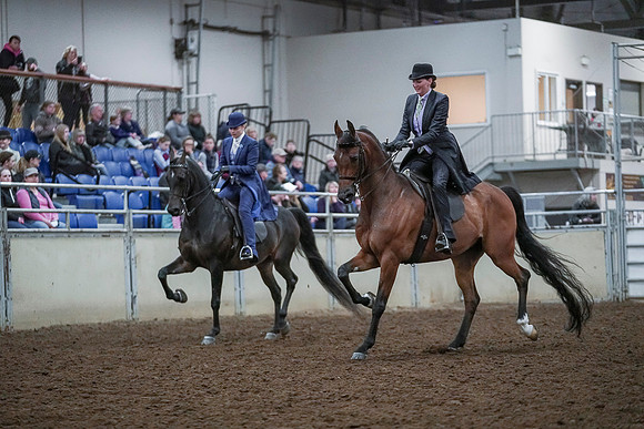 Spring Fling - Saturday - April 20, 2019  -  00696