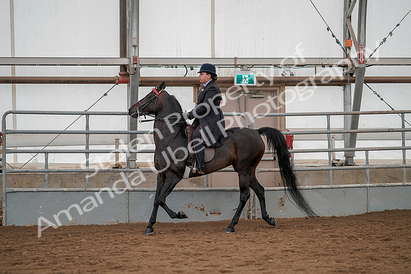 July 20, 2019 - 04214