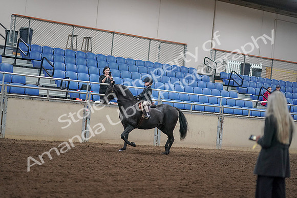 2019 Morgan Horse Show - Aug 30, 2019 - 12678