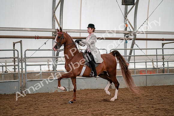 July 19, 2019 - 10424