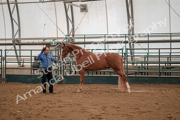 July 19, 2019 - 1202