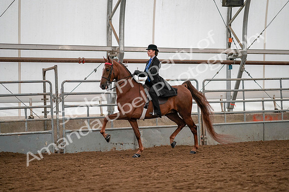 July 19, 2019 - 10462