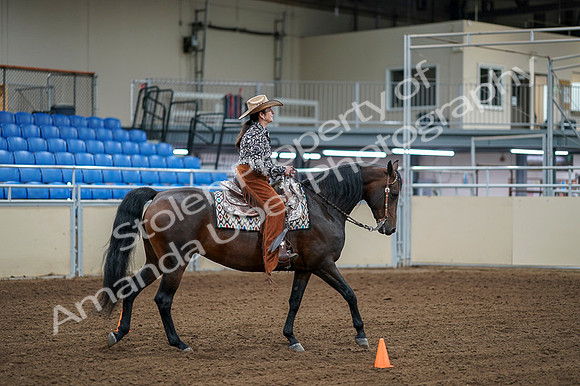 2020 - AB Morgan Horse - Fri, Sept 04 - 00397