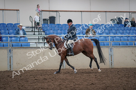 2019 Morgan Horse Show - Aug 31, 2019 - 15058
