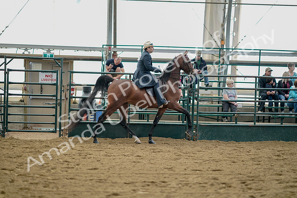 July 21, 2019 - 01872