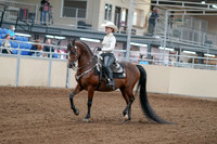 2020 - AB Morgan Horse - Fri, Sept 04 - 08246