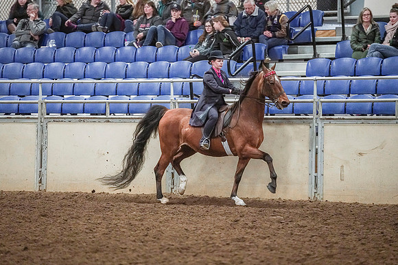 Spring Fling - Saturday - April 20, 2019  -  04489