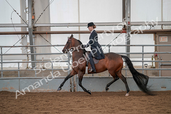 July 20, 2019 - 04390