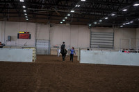 2019 Morgan Horse Show - Aug 30, 2019 - 12670