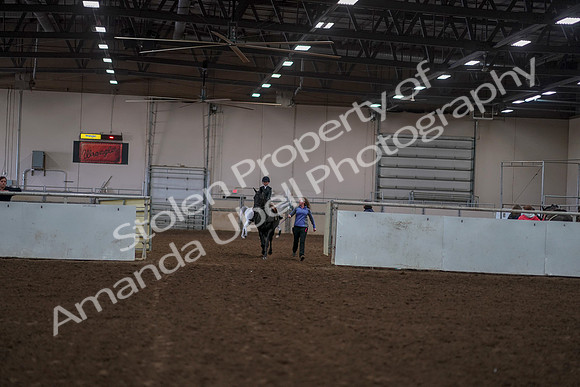 2019 Morgan Horse Show - Aug 30, 2019 - 12670