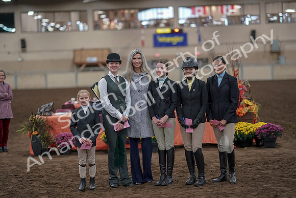 2019 Morgan Horse Show - Aug 31, 2019 - 03919