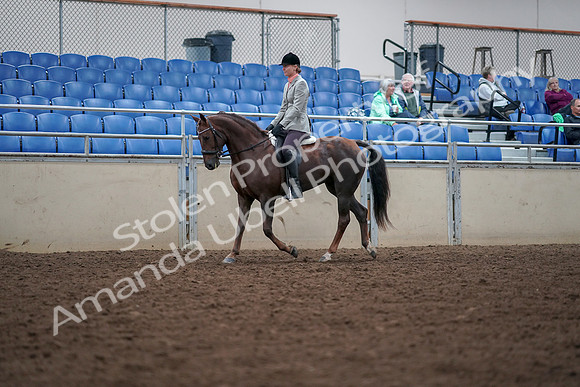 2019 Morgan Horse Show - Aug 30, 2019 - 18325