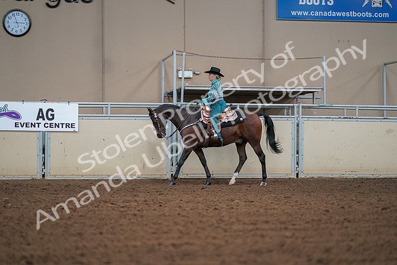 2019 Morgan Horse Show - Aug 30, 2019 - 16811