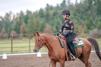 2019 Morgan Horse Show - Aug 30, 2019 - 00207