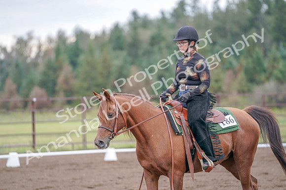 2019 Morgan Horse Show - Aug 30, 2019 - 00207
