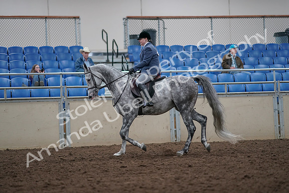 2019 Morgan Horse Show - Aug 31, 2019 - 14777
