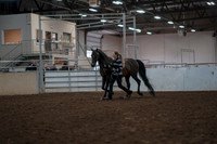 2019 Morgan Horse Show - Aug 31, 2019 - 03388