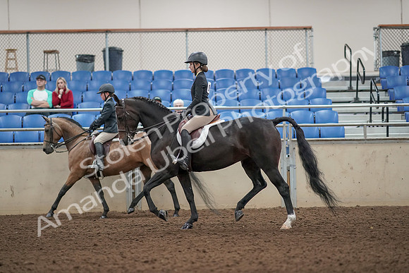 2019 Morgan Horse Show - Aug 31, 2019 - 04857