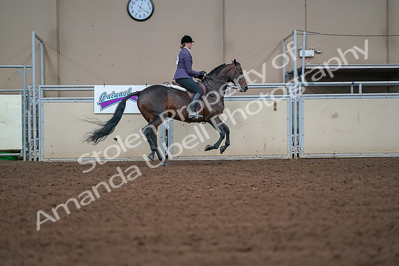2019 Morgan Horse Show - Aug 30, 2019 - 20964