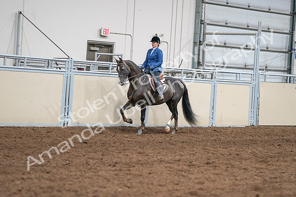 2020 - AB Morgan Horse - Sat, Sept 05 - 04979