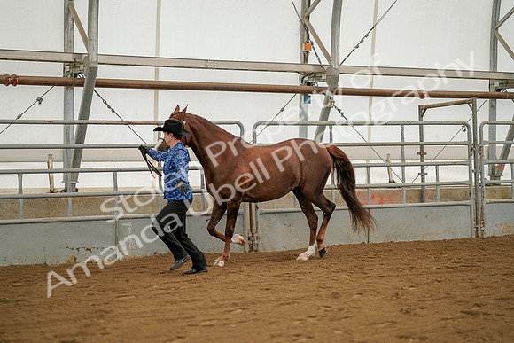 July 19, 2019 - 1266