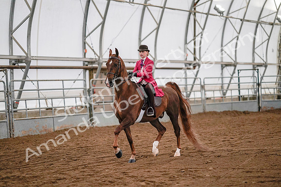 July 19, 2019 - 8817