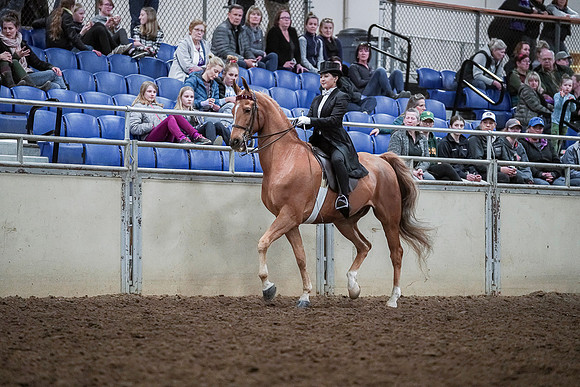 Spring Fling - Saturday - April 20, 2019  -  04347