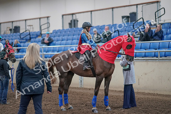 2019 Morgan Horse Show - Aug 31, 2019 - 10142