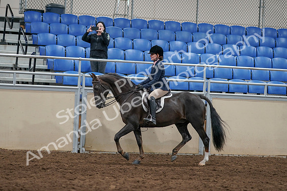 2020 - AB Morgan Horse - Sun, Sept 06 - 07750