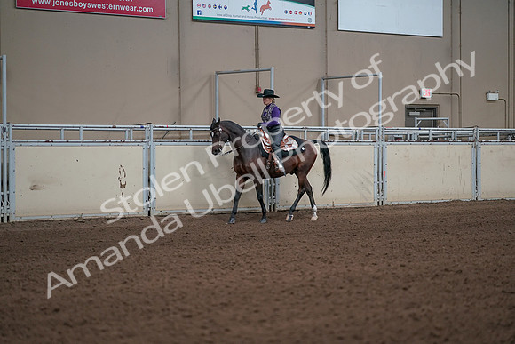 2019 Morgan Horse Show - Aug 31, 2019 - 10581