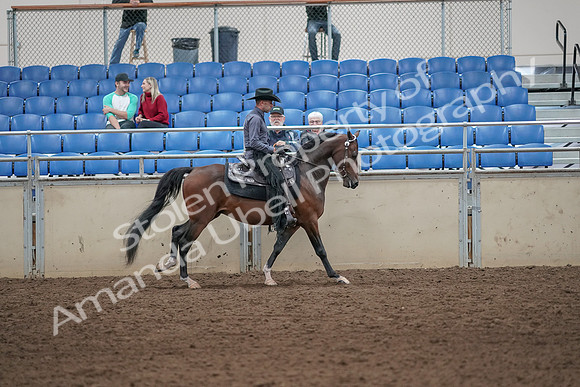 2019 Morgan Horse Show - Aug 31, 2019 - 06155